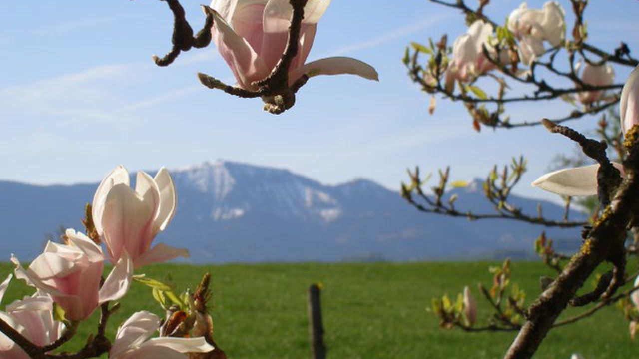 Blick zur Hochries Blick zur Hochries
